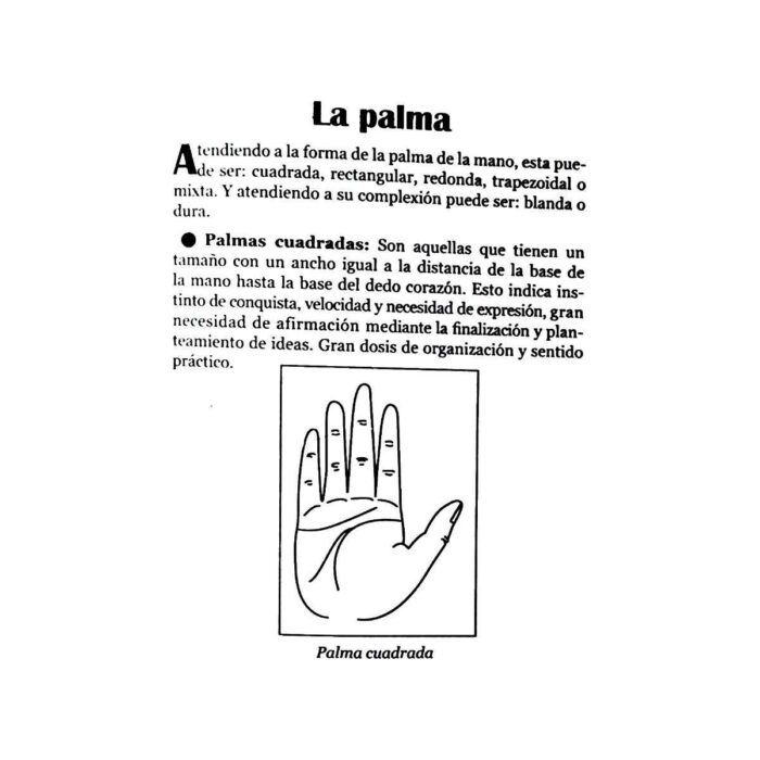 Quiromancia El Futuro Está En Su Mano Aprender Leer La Mano