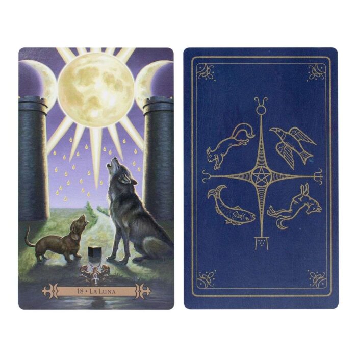 Mazo Cartas Tarot Del Hechicero Moderno Manual En Español