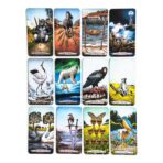 Cartas Tarot De Los Animales Totemicos Español Matiri +guia