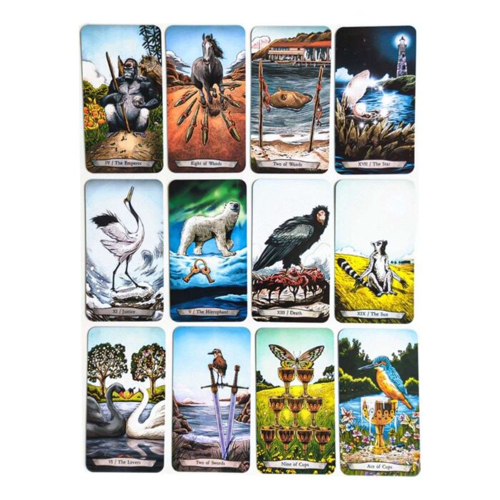 Cartas Tarot De Los Animales Totemicos Español Matiri +guia