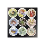 Oraculo Cartas Tarot Circulo De La Vida Redondo Tarot Hadas