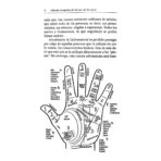 Libro Metodo Completo De La Lectura De La Mano Quiromancia