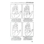 Quiromancia El Futuro Está En Su Mano Aprender Leer La Mano
