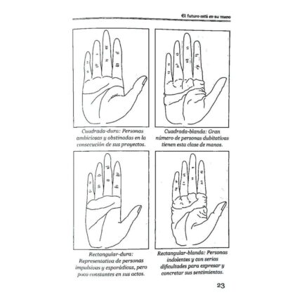 Quiromancia El Futuro Está En Su Mano Aprender Leer La Mano