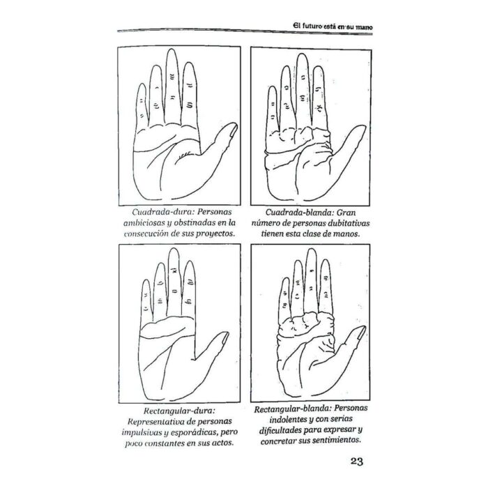 Quiromancia El Futuro Está En Su Mano Aprender Leer La Mano