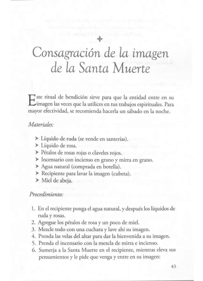 Libro Santa Muerte Practicas Del Culto A La Santa Muerte 5
