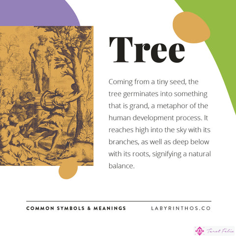 Simbolismo del árbol - Significado del símbolo del árbol en el Tarot