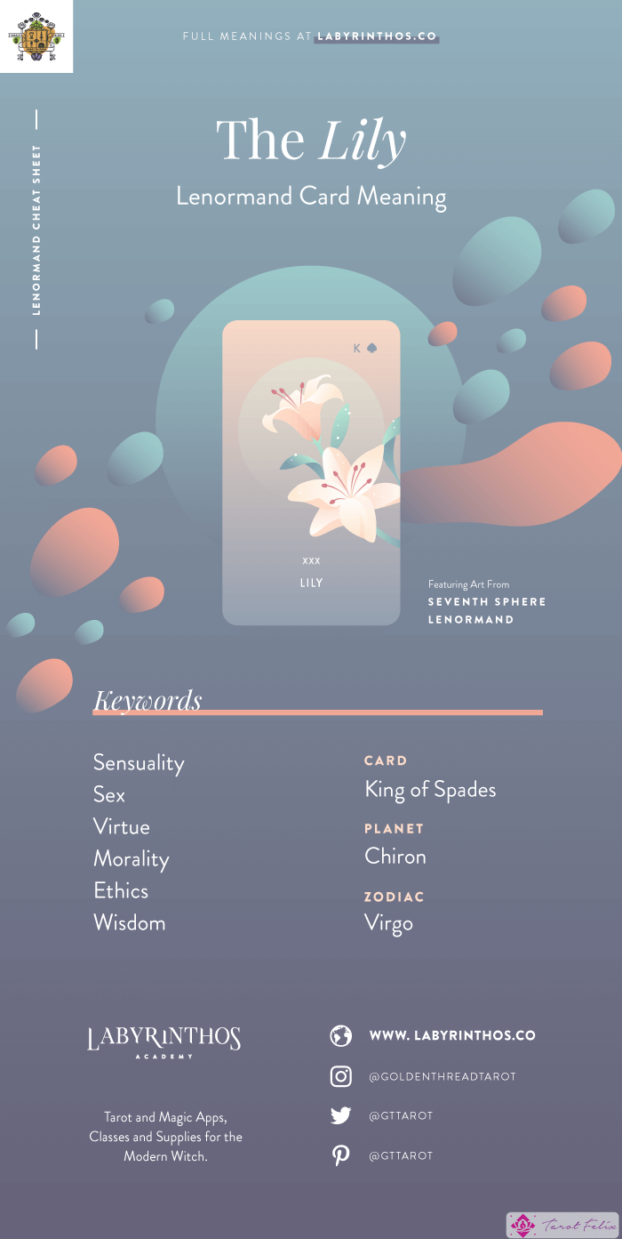 The Lily - Cartas de Lenormand, hoja de trucos para aprender a usar barajas de Lenormand para la adivinación