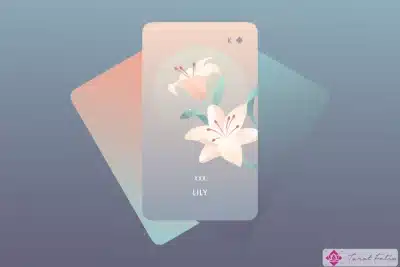 Significado y combinaciones de la carta de Lily Lenormand