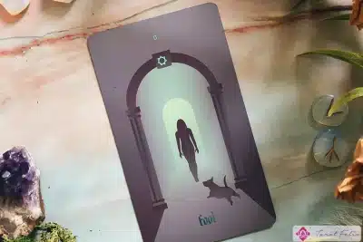La tirada de cartas del Tarot del tonto