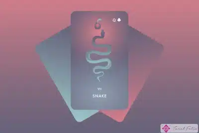 Significado y combinaciones de la carta Serpiente Lenormand
