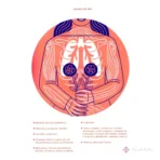 Astrología del Cuerpo: Descubre la Salud y Curación con Tarot Felix