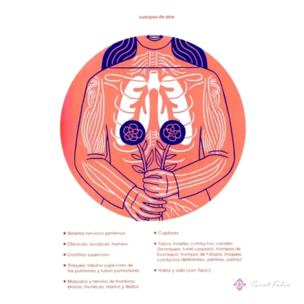 Astrología del Cuerpo: Descubre la Salud y Curación con Tarot Felix