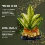 Estatua de Jesús Malverde 30cm Dorada y Curada + Libro Exclusivo