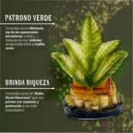 Estatua Jesús Malverde 30cm Curada + Libro Exclusivo - Culto y Devoción