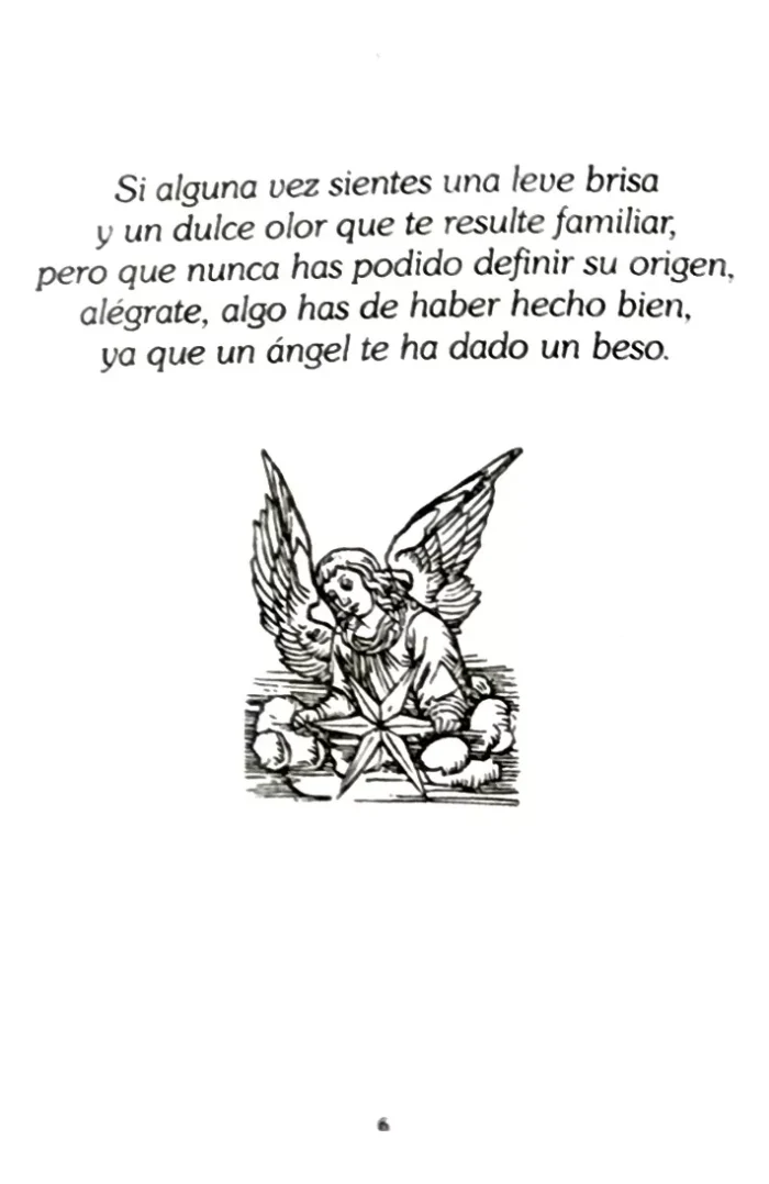 Angeles Espiritus De Luz Angeologia Ed. Invocaciones 2