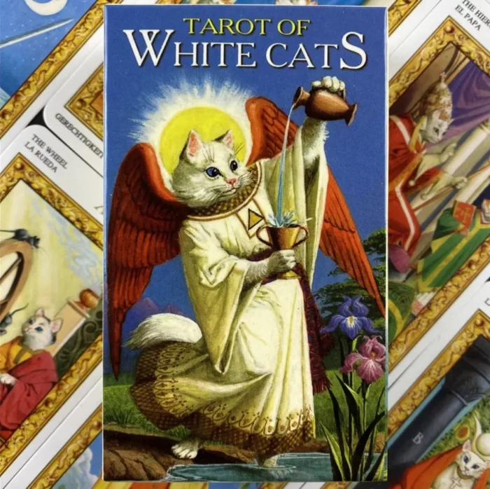 Cartas Tarot Gatos Blancos White Cats 78 Cartasebook 4