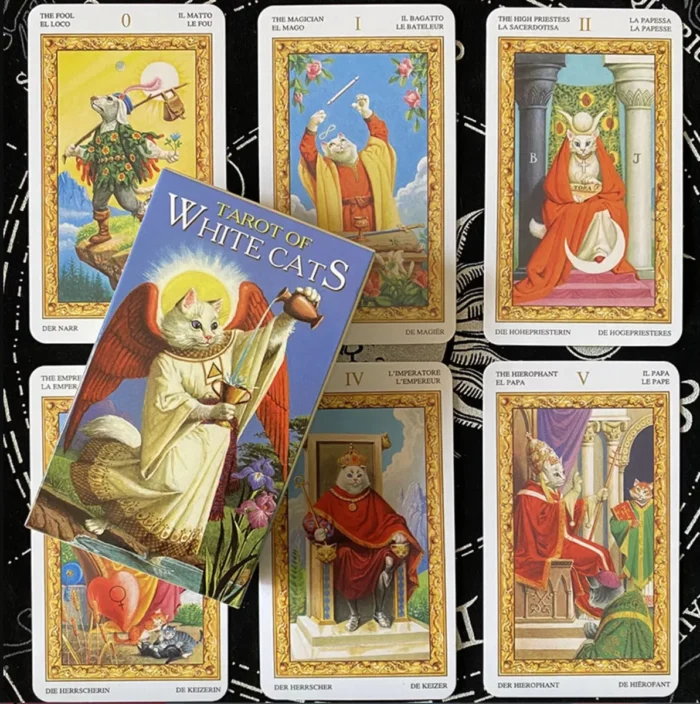Cartas Tarot Gatos Blancos White Cats 78 Cartasebook 5