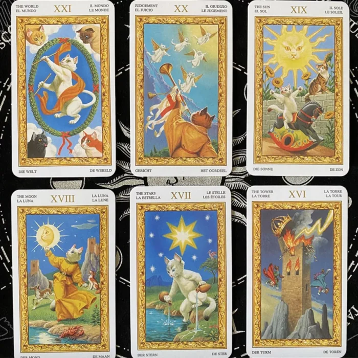 Cartas Tarot Gatos Blancos White Cats 78 Cartasebook 6