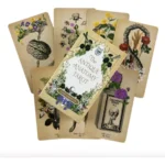 tarot antique anatomy