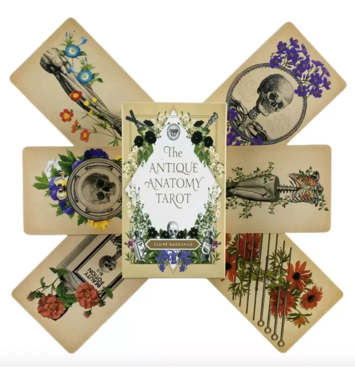 Cartas Tarot Rider Antique Anatomy 78 Cartas Pdf Espanol 2