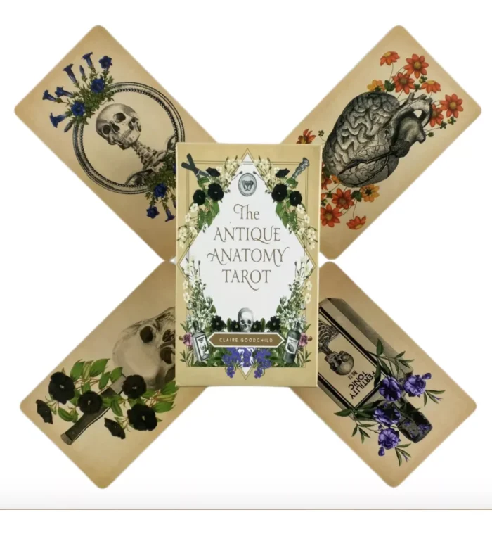 Cartas Tarot Rider Antique Anatomy 78 Cartas Pdf Espanol 4