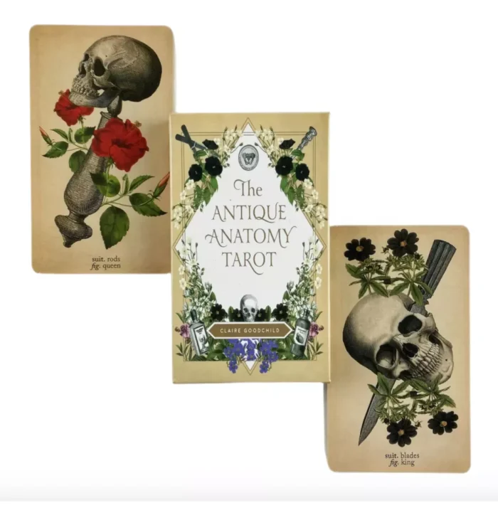 Cartas Tarot Rider Antique Anatomy 78 Cartas Pdf Espanol 5