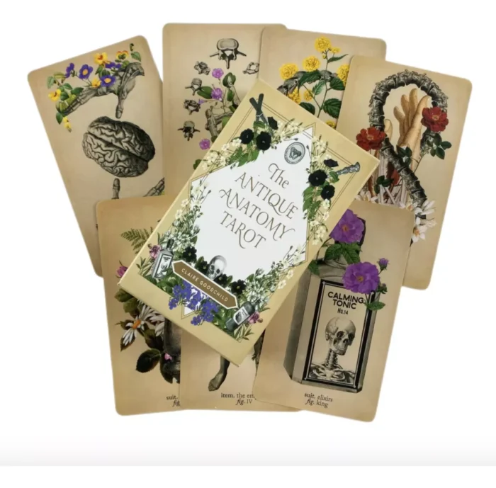 tarot antique anatomy
