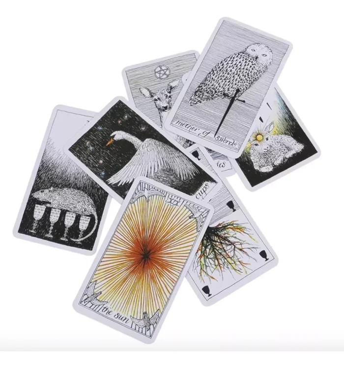 Cartas Tarot Rider waite The Wild Unknown 78 Cartas guia Es 3
