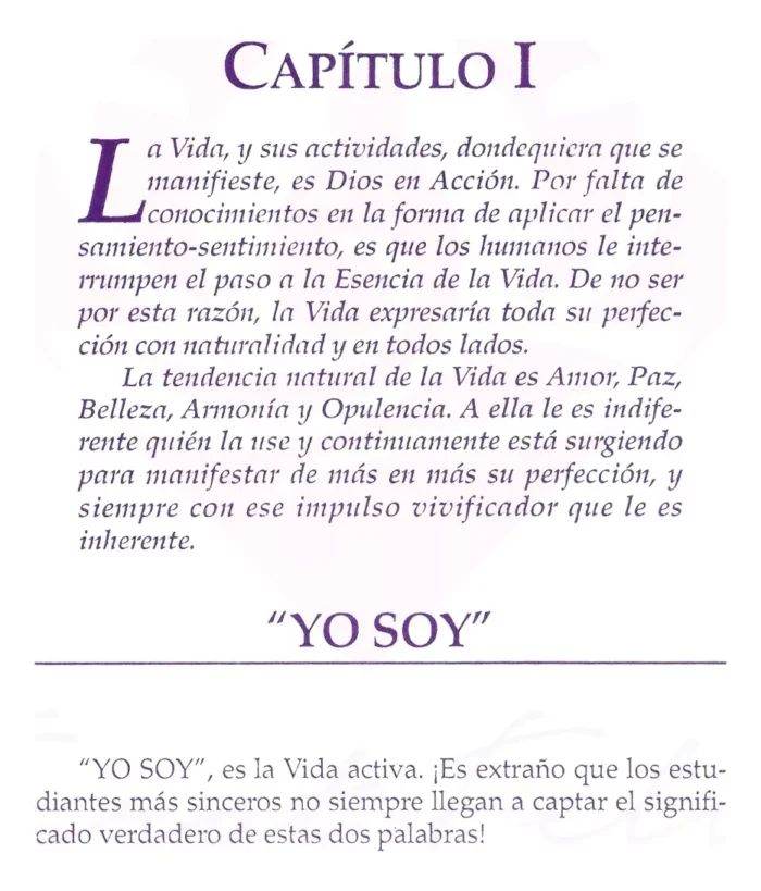 El Libro De Oro Ensenanzas Espirituales Y Metafisicas 3