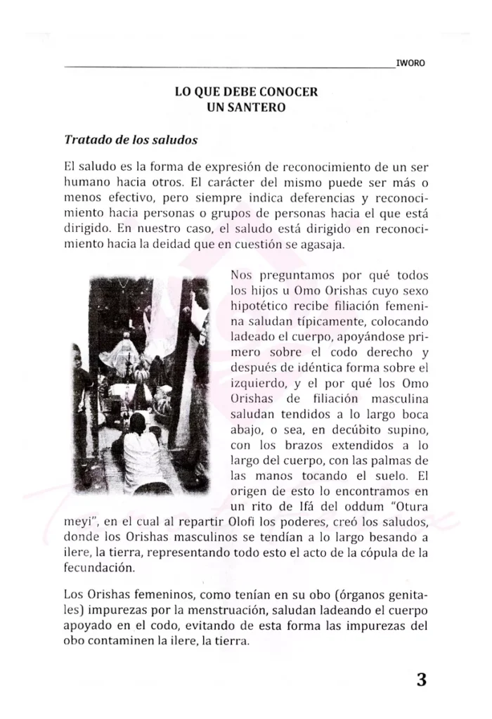 Iworos Tratados De Santeria Ed. Fenix 1a Ed. 1