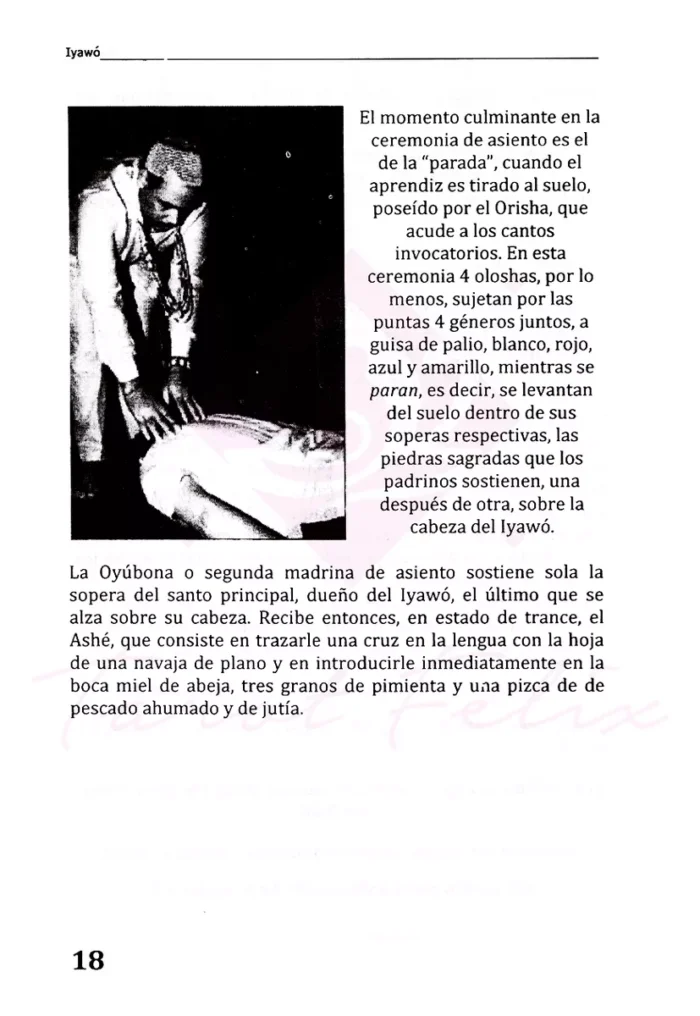 Iyawos Iniciacion A La Santeria Ed. Fenix 1a Ed. 1