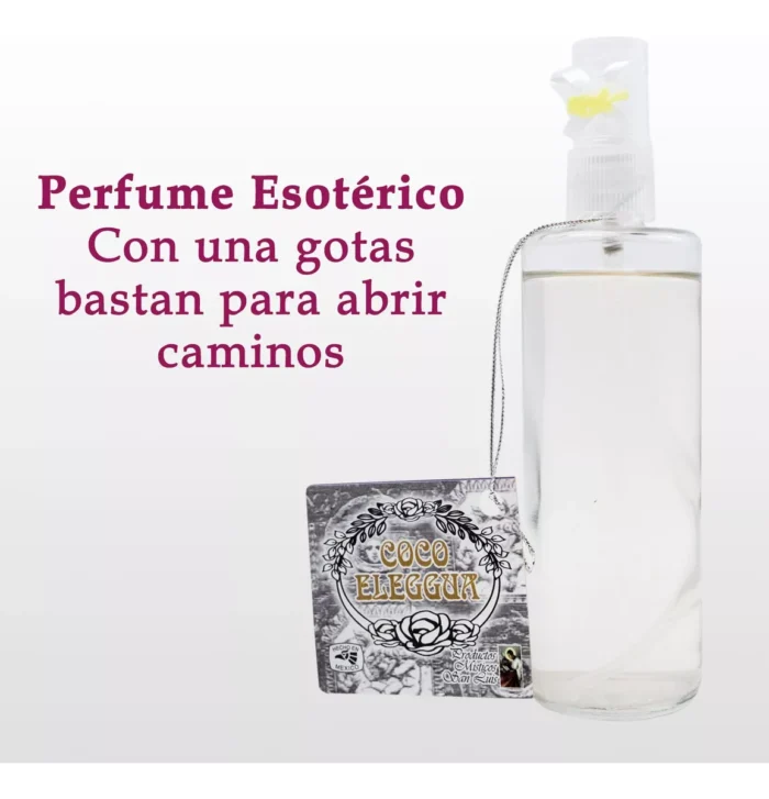 Kit Coco Eleggua Proteccion Y Abundancia Espiritual 2