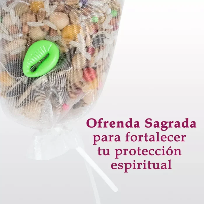 Kit Coco Eleggua Proteccion Y Abundancia Espiritual 4