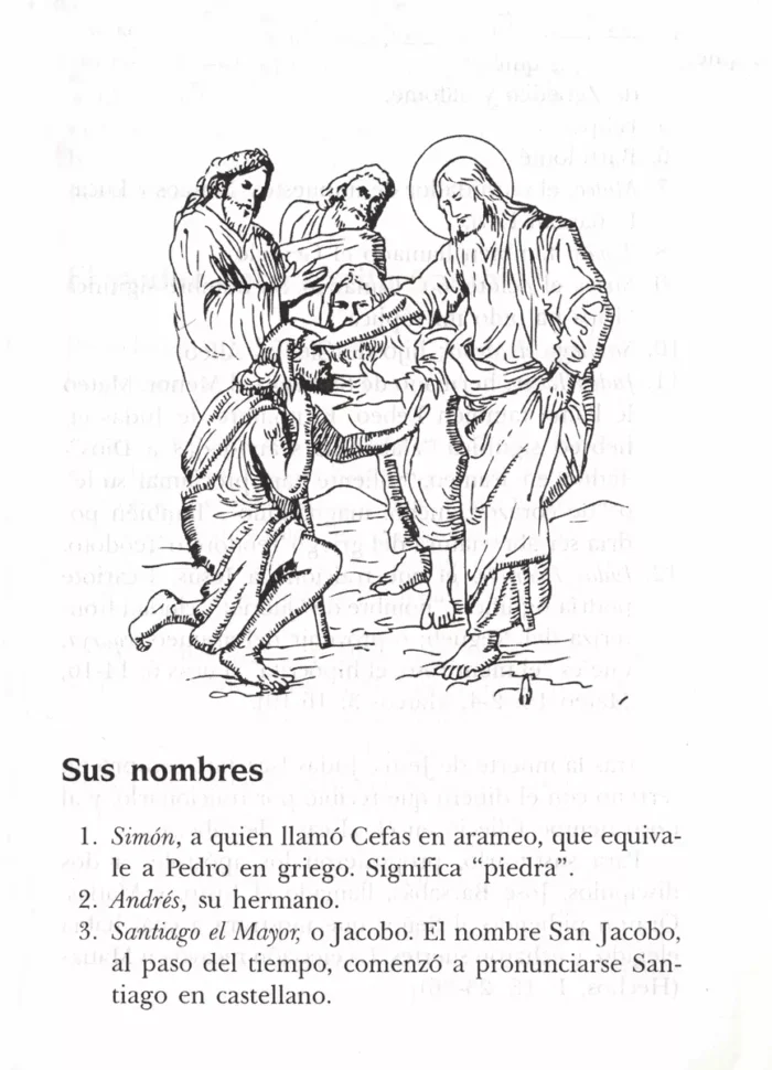 Libro De San Judas Tadeo 4