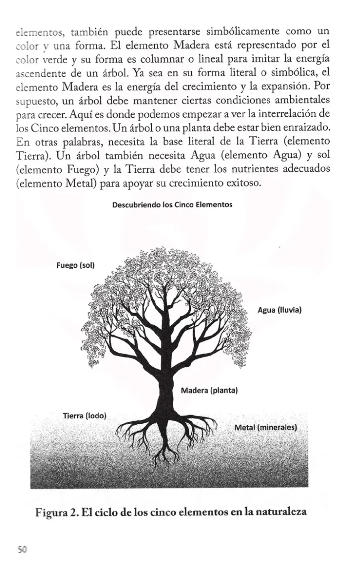 Libro Elemento Perdido Fuerza Oculta Y 5 Elementos 6