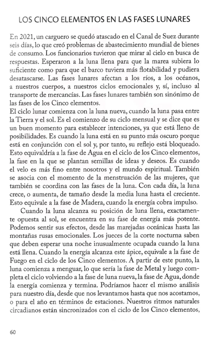 Libro Elemento Perdido Fuerza Oculta Y 5 Elementos 7