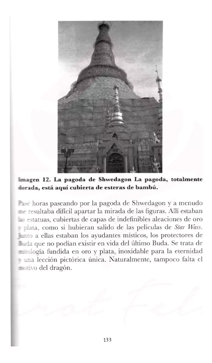 Libro Los Dioses Fueron Astronautas Misterio Ancestral 6