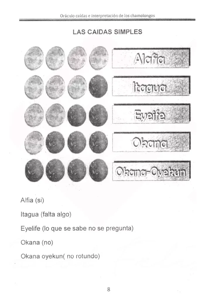 Libro Oraculo De Chamalongos Rituales De Nganga Mayombe 4