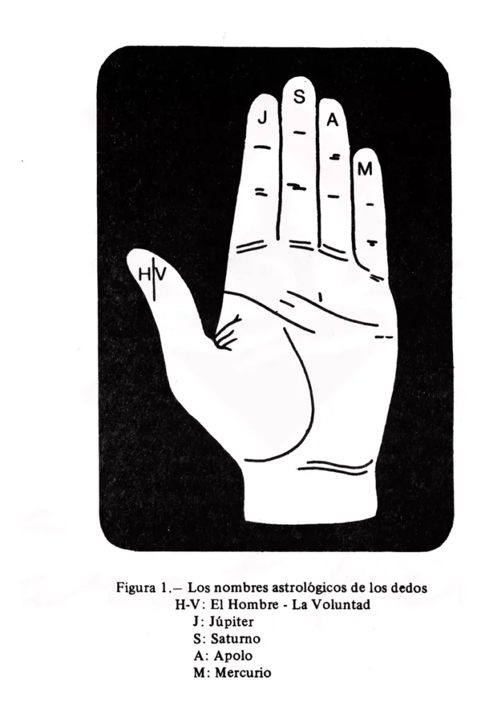 Libro Quiromancia Practica Como Leer Las Lineas De La Mano 3