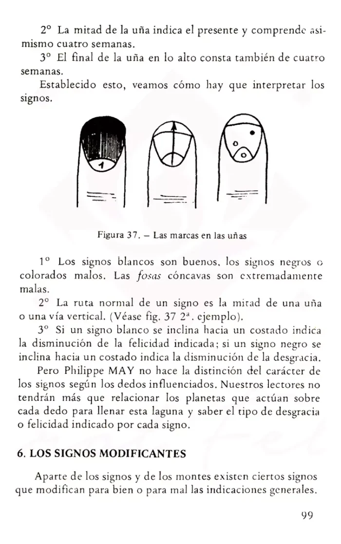 Libro Quiromancia Practica Como Leer Las Lineas De La Mano 4