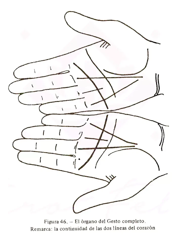Libro Quiromancia Practica Como Leer Las Lineas De La Mano 5