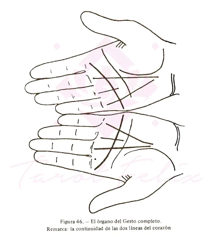 Libro Quiromancia Practica Como Leer Las Lineas De La Mano 6