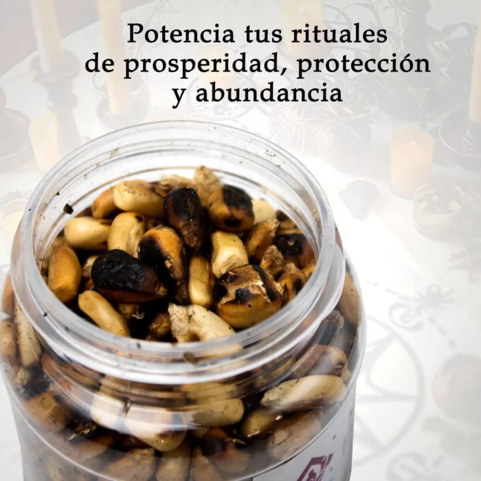 Maiz Tostado Santeria 250 Ml Ofrendas Rituales Y Abundancia 1