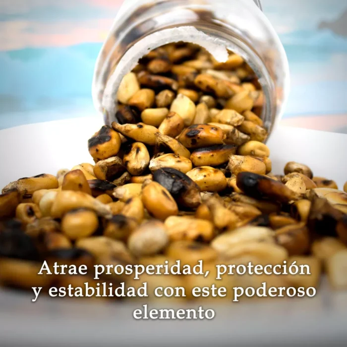 Maiz Tostado Santeria 500 Ml Ofrendas Rituales Y Abundancia 2