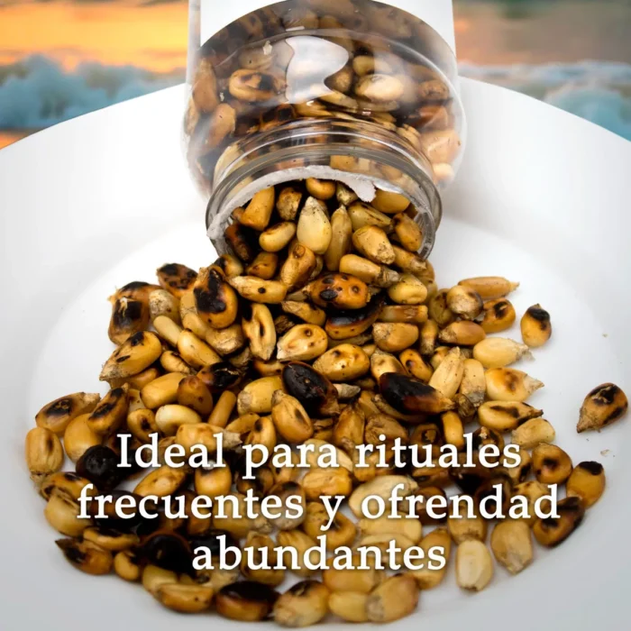 Maiz Tostado Santeria 500 Ml Ofrendas Rituales Y Abundancia 4