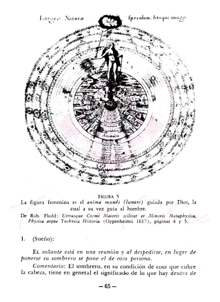 Psicologia Y Alquimia De Carl Jung Un Viaje Del Inconsciente 1