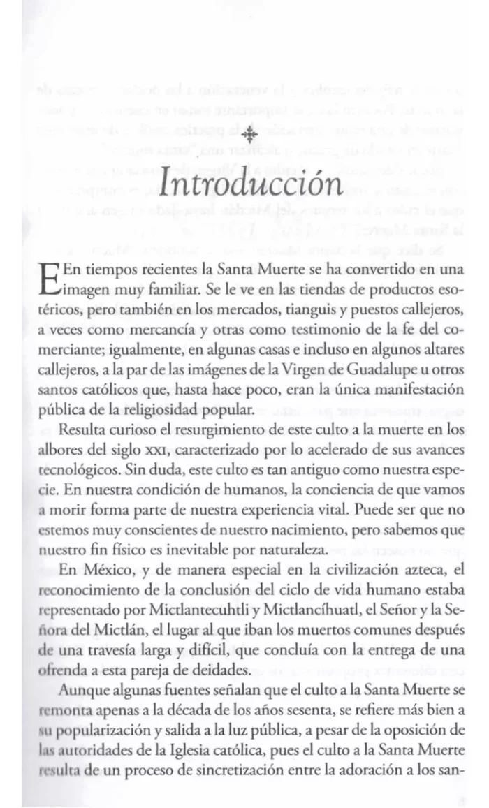 Santa Muerte 3 Virtudes Polvo Diamante 15cm Curada Biblia. 5