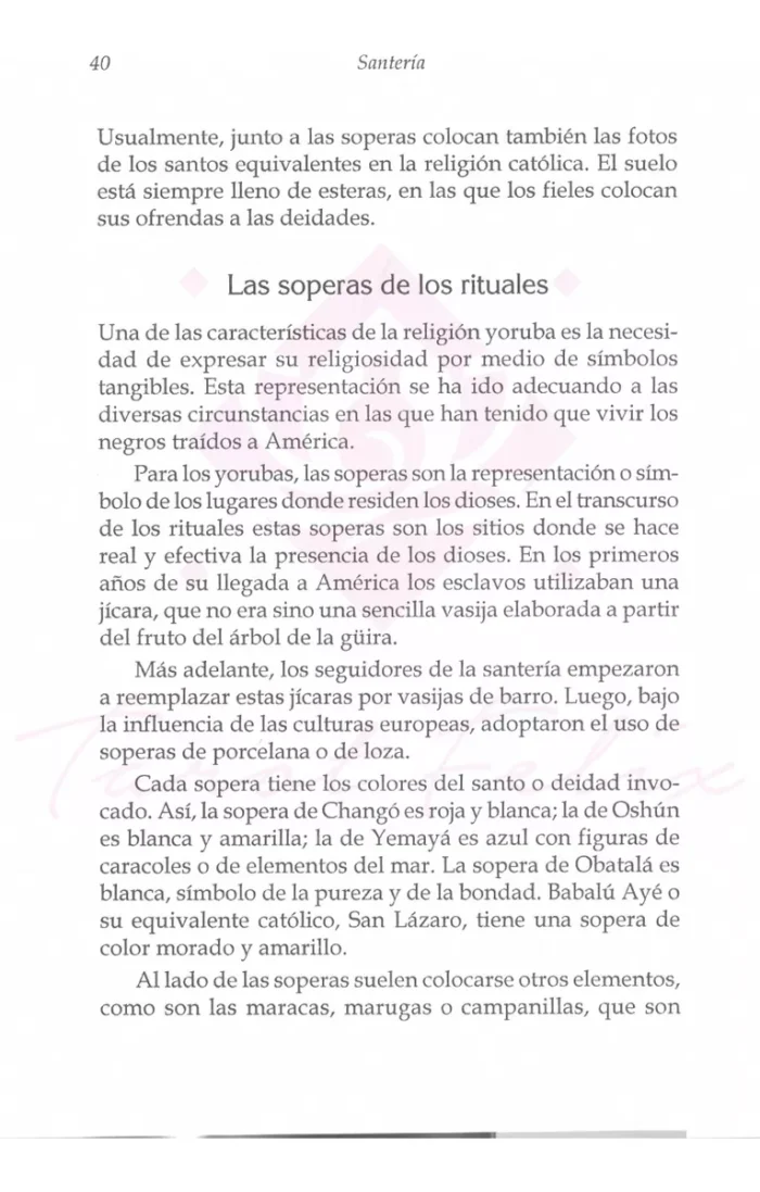 Santeria Guia Completa De Rituales Adivinacion Y Magia 4