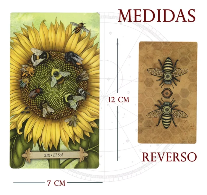Tarot Abejas 78 Cartas Rider waite Libro Esp Matiri 2